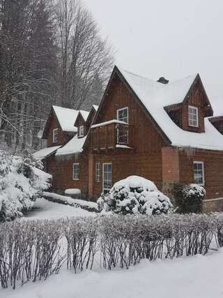 Дома для отпуска Janowa Chata Клетно Дом с 4 спальнями-28